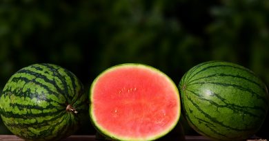 Watermelon varieties found in Kenya