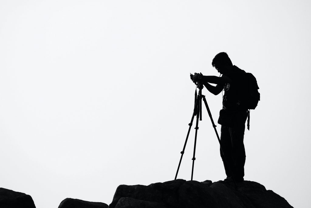Professional Photographer