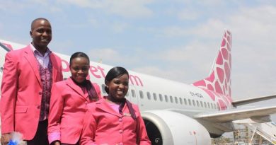 Here are Top 7 Most Reliable Local Airlines in Kenya