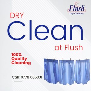 Flush Drycleaners and Laundry