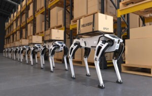 robotic delivery dog
