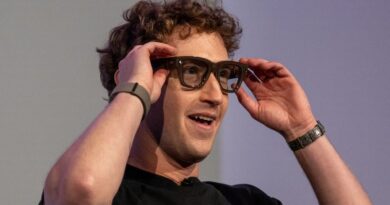 Meta Glasses